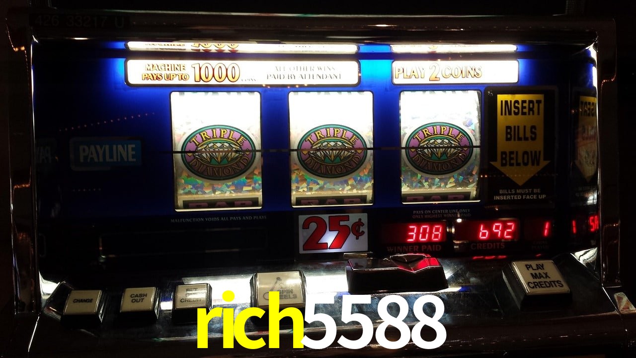 VIP Casino rich5588