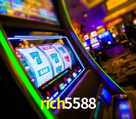 Interface Premium rich5588
